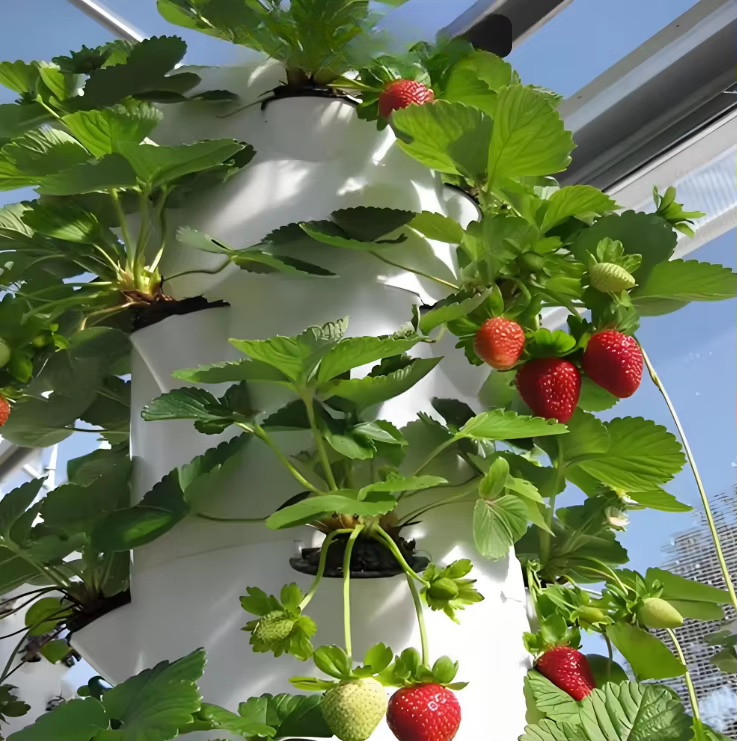 Modular hydroponic growth wall - огляд і ціна Urban Farming Gardening