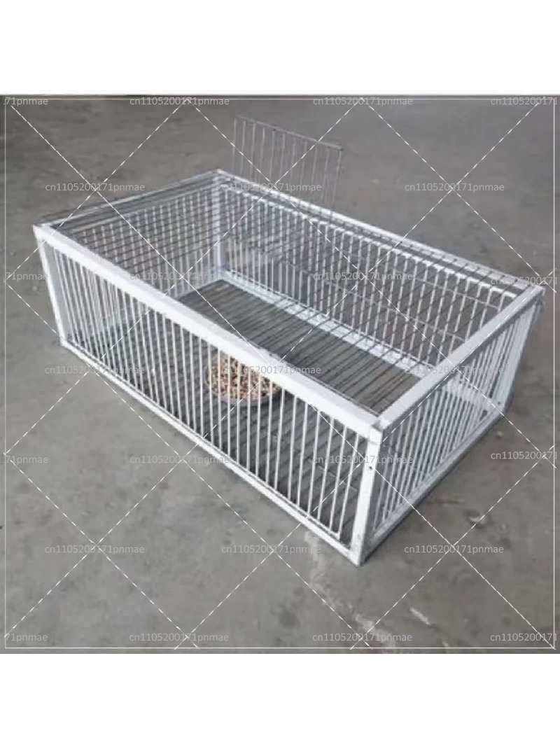 Professional Multifunctional B - огляд і ціна Urban Farming Gardening