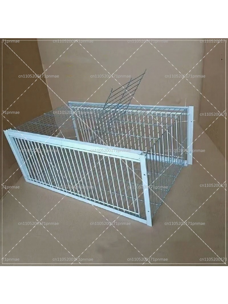 Professional Multifunctional B - огляд і ціна Urban Farming Gardening